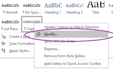 The box that appears when you right-click on 'Caption' in the styles pane.