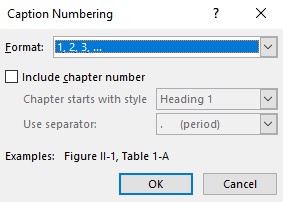 Further dialogue box with numbering options